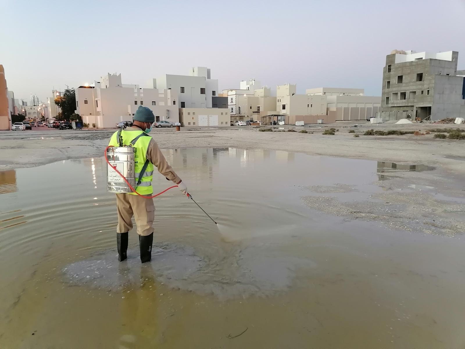 الصحة العامة: حملات استباقية وتكثيف زيارات رش المبيدات .. حرصا منها على توفير أعلى معايير الصحة والسلامة في مختلف المحافظات والتي قد تتأثر بالحشرات في مواسم معينة ..